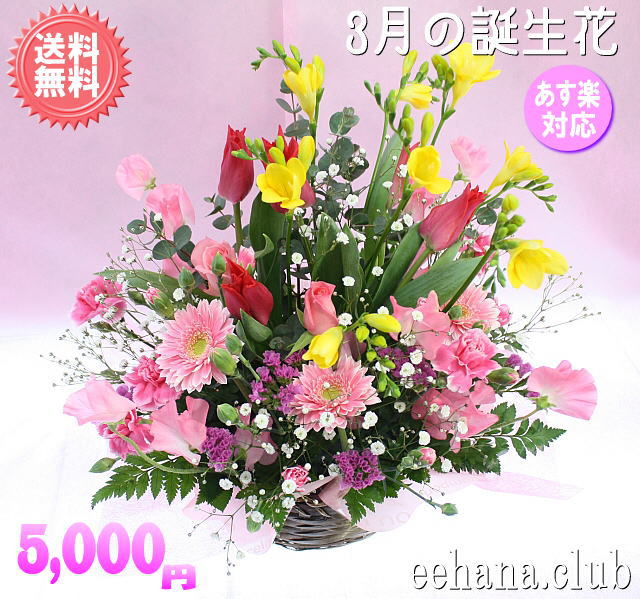 3月の誕生花 スマイルアレンジ5 000円 送料無料 あす楽対応 品質保証 花 花言葉カード付 楽ギフ 包装 楽ギフ メッセ 楽ギフ メッセ入力 Crunchusers Com