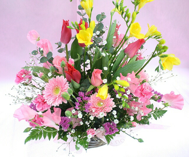 3月の誕生花 スマイルアレンジ5 000円 送料無料 あす楽対応 品質保証 花 花言葉カード付 楽ギフ 包装 楽ギフ メッセ 楽ギフ メッセ入力 Crunchusers Com