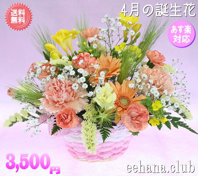 楽天市場】10月の誕生花☆ビタミンオレンジアレンジ3,500円【送料無料】【ガーベラ】花言葉カード付き【写真付きメッセージ選択可】【あす楽対応】 :  いいＨａｎａ倶楽部