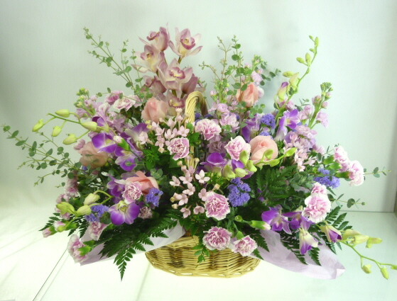 11月明かりの生れ落ちる絶頂 エンジェル取りあわせる10 000円 送料無料 ブバルディア 花言葉札付人 フォトグラフ付き発言選出す可 あした快い照応 Hls Du Hotjobsafrica Org