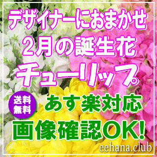 楽天市場 2月の誕生花チューリップ デザイナーにおまかせフラワー3 500円 送料無料 あす楽対応 商品画像確認ｏｋ フラワーアレンジ 花束 花言葉カード付き 楽ギフ 包装 楽ギフ メッセ 楽ギフ メッセ入力 誕生日の贈りもの いいｈａｎａ倶楽部