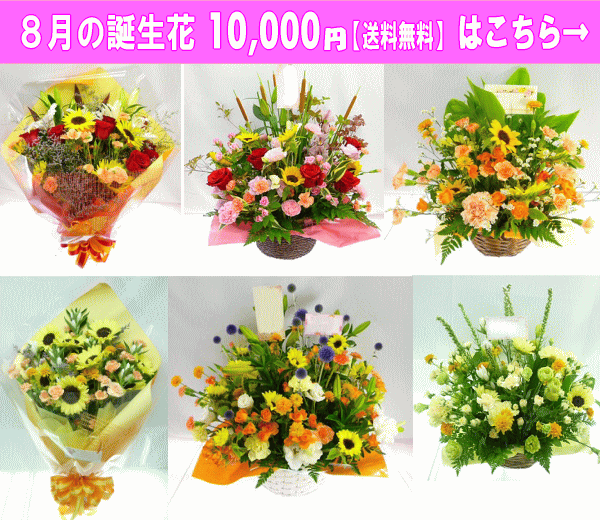 8月の誕生花 ひまわり デザイナーにおまかせフラワー 7 000円 送料無料 フラワーアレンジ 花束 写真付きカード選択可 ネット特価 Marcsdesign Com