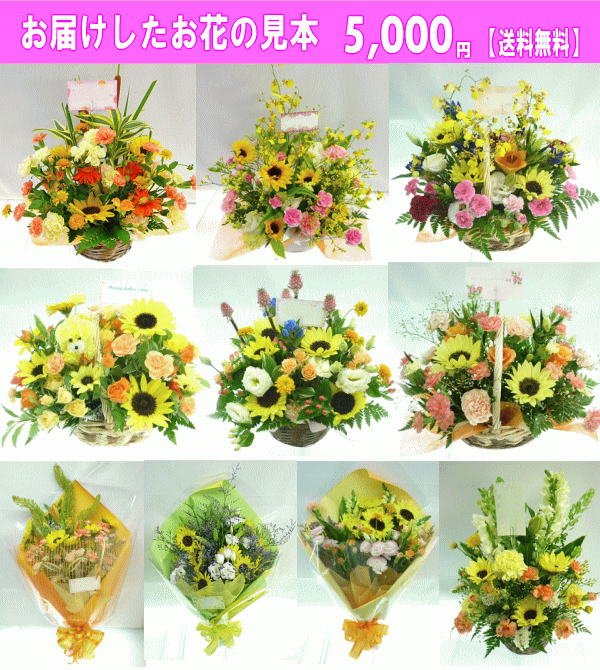 8月の誕生花 ひまわり デザイナーにおまかせフラワー 5 000円 送料無料 フラワーアレンジ 花束 写真付きカード選択可 ネット特価 Crunchusers Com