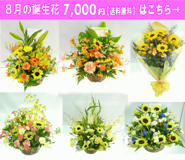 8月の誕生花 ひまわり デザイナーにおまかせフラワー 5 000円 送料無料 フラワーアレンジ 花束 写真付きカード選択可 ネット特価 Marcsdesign Com