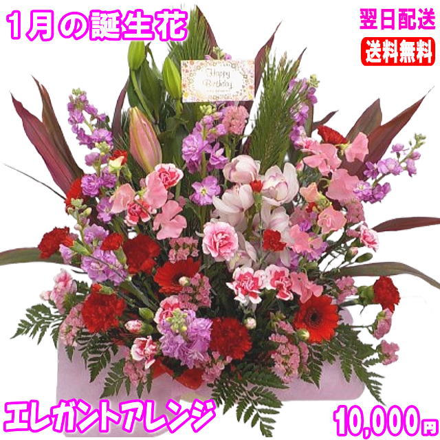 1月の誕生花★エレガントアレンジ10,000円【送料無料】【写真付きメッセージ選択可】【楽ギフ_包装】【楽ギフ_メッセ】【楽ギフ_メッセ入力】【対応】｜いいＨａｎａ倶楽部