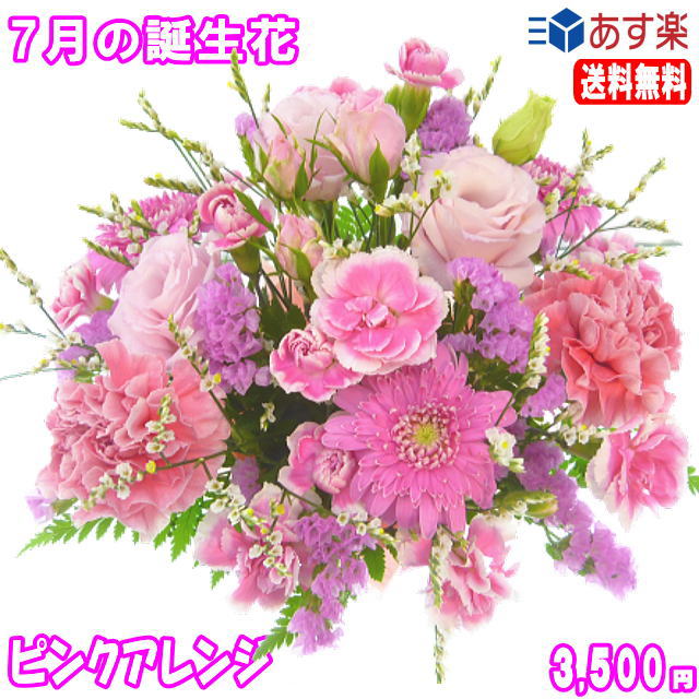 楽天市場 7月の誕生花 ピンクアレンジ花言葉 付き3 500円 送料無料 トルコキキョウ 写真付きメッセージ選択可 楽ギフ 包装 楽ギフ メッセ 楽ギフ メッセ入力 あす楽対応 いいhana倶楽部 楽天市場 7月の誕生花 ピンクアレンジ花言葉 付き3 500円 送料無料 トルコキキョウ 写真付きメッセージ選択可 楽ギフ 包装 楽ギフ メッセ 楽ギフ メッセ入力 あす楽対応 いいhana倶楽部