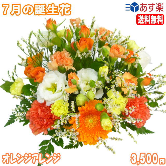 楽天市場 7月の誕生花 オレンジアレンジ花 言葉付き3 500円 送料無料 トルコキキョウ 楽ギフ 包装 楽ギフ メッセ 楽ギフ メッセ入力 あす楽対応 いいhana倶楽部 楽天市場 7月の誕生花 オレンジアレンジ花 言葉付き3 500円 送料無料 トルコキキョウ 楽ギフ 包装 楽ギフ メッセ 楽ギフ メッセ入力 あす楽対応 いいhana倶楽部
