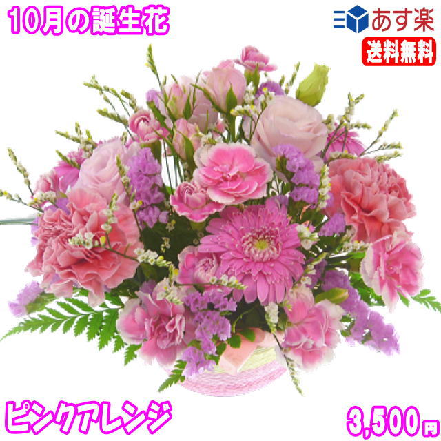 10月の誕生花 ピンクアレンジ3 500円 送料無料 ガーベラ 花言葉カード付き 写真付きメッセージ選択可 あす楽対応 Marcsdesign Com 10月の誕生花 ピンクアレンジ3 500円 送料無料 ガーベラ 花言葉カード付き 写真付きメッセージ選択可 あす楽対応 Marcsdesign Com