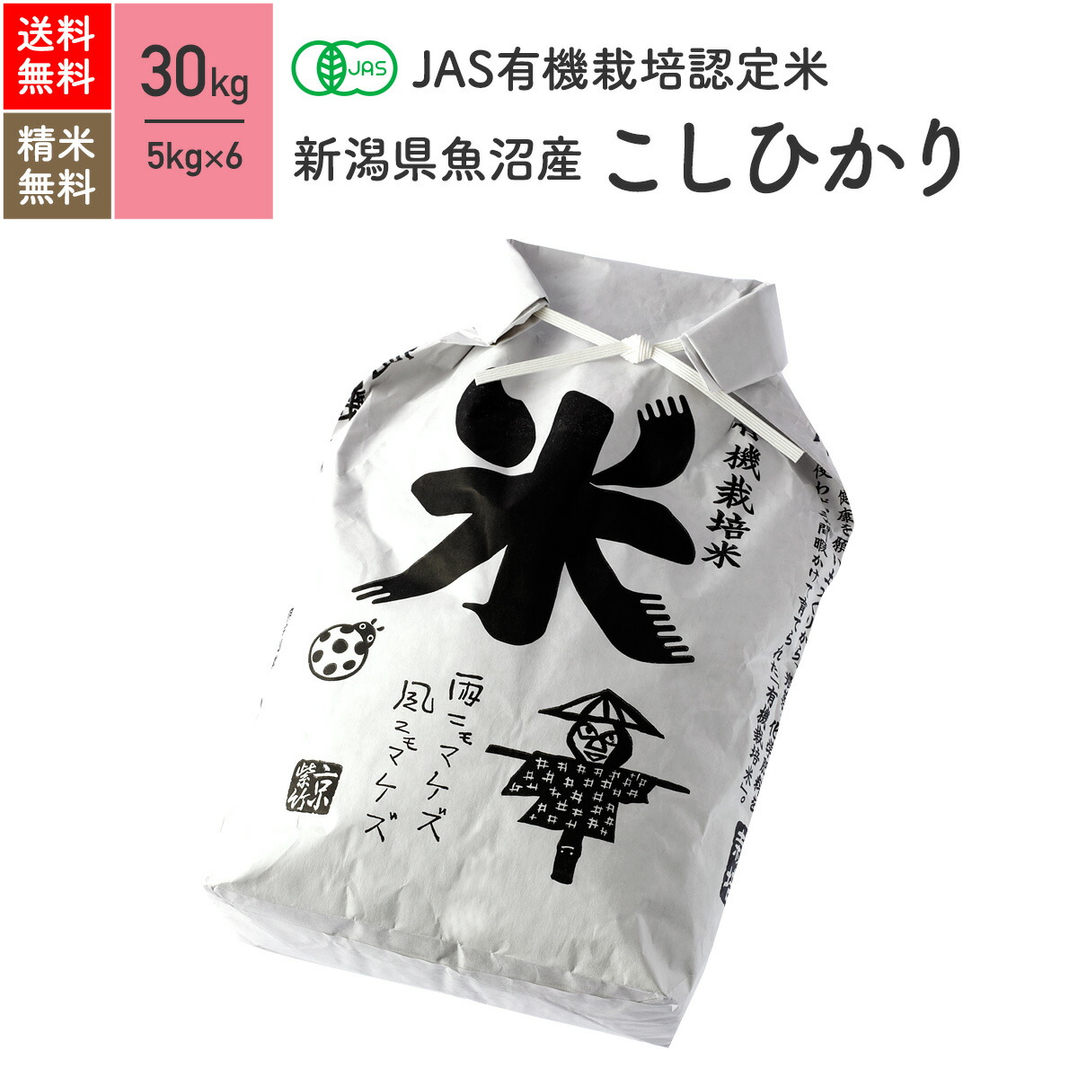 楽天市場】新米 滋賀県産 コシヒカリ JAS有機米 令和5年産 送料無料無