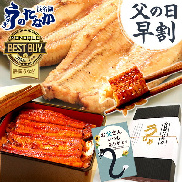 ＼今夜23:59まで★限定クーポン／ 父の日 早割 プレゼント うなぎ 国産 蒲焼き ギフト 食べ物 送料無料 鰻 真空パック 食品 グルメ 人気 クーポン 内祝い 誕生日 母の日 最強配送 ご褒美 特大長蒲焼き1本 1尾 カット蒲焼き2枚 【静岡産 通常 AAA 化粧箱】Aset [2～3人前]
