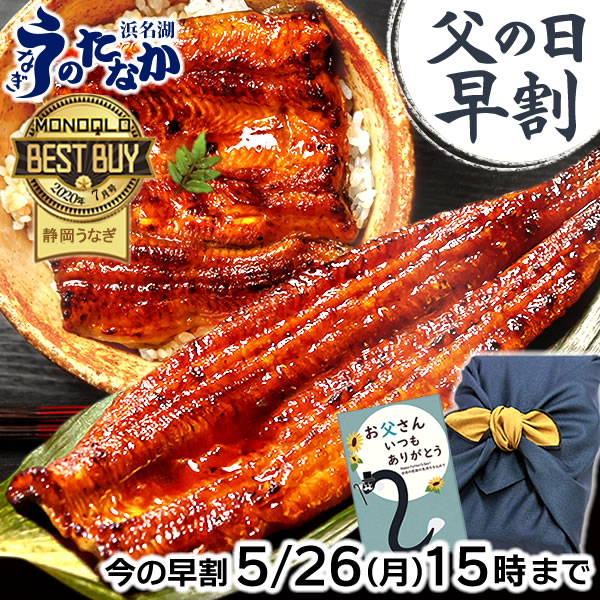 ＼早い者勝ち★150円クーポン／ 父の日 早割 プレゼント うなぎ 国産 蒲焼き ギフト 食べ物 送料無料 鰻 真空パック 食品 グルメ 人気 クーポン 内祝い 誕生日 母の日 最強配送 ご褒美 特大長蒲焼1本 1尾 カット蒲焼き2枚 【静岡産 通常 AAA 風呂敷】FA [2～3人前]