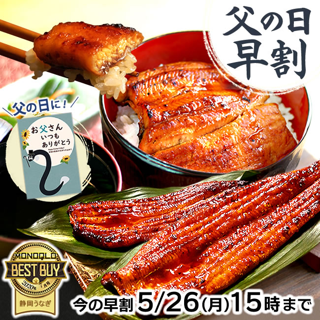 ＼早い者勝ち★150円クーポン／ 父の日 早割 プレゼント うなぎ 国産 蒲焼き ギフト 食べ物 送料無料 鰻 真空パック 食品 グルメ 人気 クーポン 内祝い 誕生日 母の日 最強配送 ご褒美  90～110g 150～160g 180～200g 2～6尾 【静岡産 AAA 簡易箱】Gset [1～6人前]