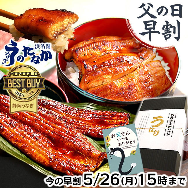 ＼早い者勝ち★150円クーポン／ 父の日 早割 プレゼント うなぎ 国産 蒲焼き ギフト 食べ物 送料無料 鰻 真空パック お祝い 食品 グルメ 人気 クーポン 内祝い 誕生日 母の日 最強配送 ご褒美 90～110g2本 2尾 【静岡産 通常 AAA 化粧箱】gset [1～2人前]