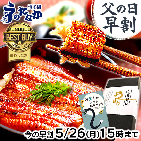 ＼早い者勝ち★150円クーポン／ 父の日 早割 プレゼント うなぎ 国産 蒲焼き ギフト 食べ物 送料無料 鰻 真空パック お祝い 食品 グルメ 人気 クーポン 内祝い 誕生日 母の日 最強配送 ご褒美 85～95g3枚 【静岡産 通常 AAA 化粧箱】Bset [2～3人前]