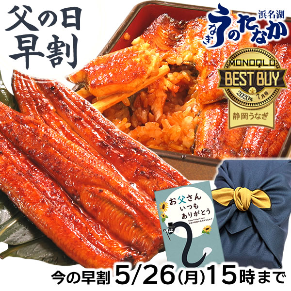 ＼早い者勝ち★最大150円クーポン／ 父の日 早割 プレゼント うなぎ 国産 蒲焼き ギフト 食べ物 送料無料 鰻 真空パック お祝い 食品 グルメ 人気 クーポン 誕生日 母の日 最強配送 ご褒美 90～100g 蒲焼2本 2尾 【静岡産 通常 AAA 風呂敷】 furoshiki-gset [1～2人前]