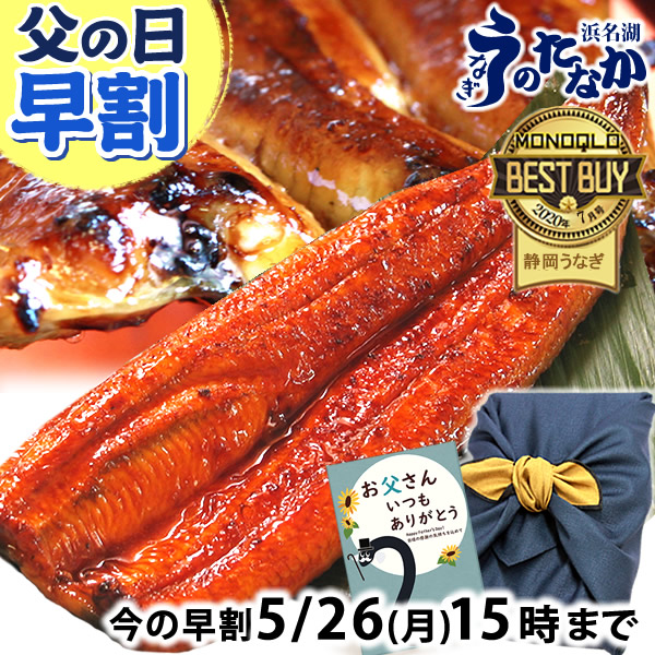 ＼今夜23:59まで★限定クーポン／ 父の日 早割 プレゼント うなぎ 国産 蒲焼き ギフト 食べ物 送料無料 鰻 真空パック お祝い 食品 グルメ 人気 クーポン 内祝い 誕生日 母の日 最強配送 ご褒美 蒲焼1本 1尾 【静岡産 通常 AAA 風呂敷】 Ftn1 [1～2人前]