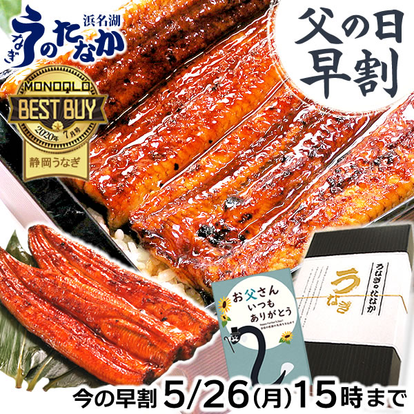 ＼早い者勝ち★150円クーポン／ 父の日 早割 プレゼント うなぎ 国産 蒲焼き ギフト 食べ物 送料無料 鰻 真空パック お祝い 食品 グルメ 人気 クーポン 内祝い 誕生日 母の日 最強配送 ご褒美 180～200g2本 2尾 【静岡産 通常 AAA 化粧箱】iset [2～3人前]
