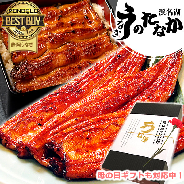  母の日 早割 うなぎ 国産 蒲焼き プレゼント ギフト 送料無料 鰻 ギフトセット 真空パック お祝い 食品 食べ物 誕生日 内祝い グルメ 人気 あす楽 カーネーション造花付き 90～110g3本 3尾 【静岡産 通常 AAA 化粧箱】Cset [2～3人前]
