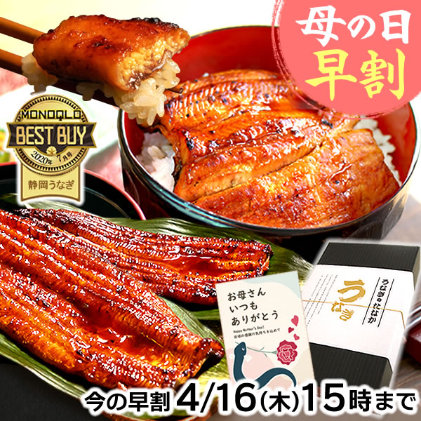 ＼本日15時に値段上がります！／ 母の日 早割 うなぎ 国産 蒲焼き 食べ物 送料無料 鰻 プレゼント お祝い 食品 グルメ 人気 内祝い 誕生日 ギフト 土用の丑の日 父の日 最強配送 ご褒美 90～110g2本 2尾 【静岡産 通常 AAA 化粧箱】gset [1～2人前]