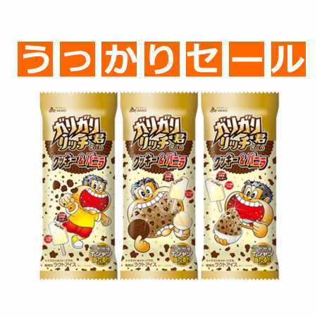楽天市場 うっかりセール ガリガリ君リッチクッキー バニラ 26本 赤城乳業 訳あり 在庫処分品 ええもんand