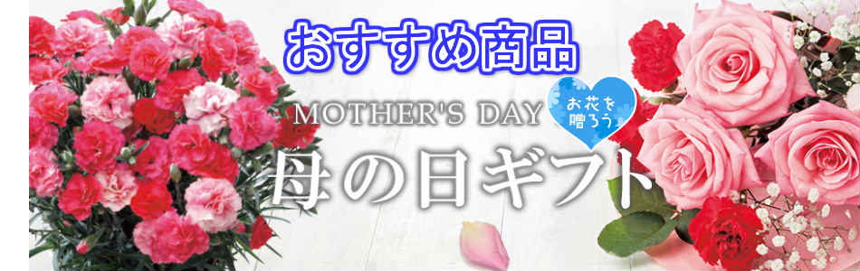 eemono��ŷ�Ծ�Ź�����ꡡ���ӡ��¿����åȡ��ˤ���Ф�ޤ��ΤǤ���������ꤤ���ޤ�