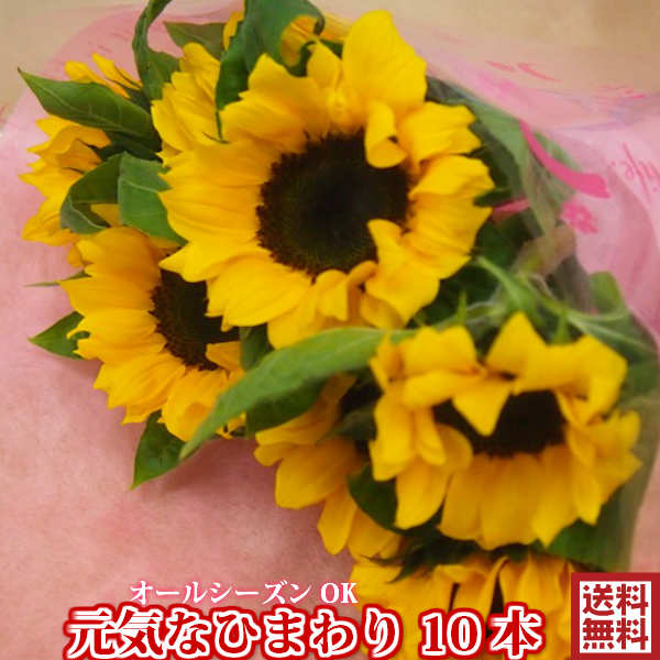 楽天市場】切り花 ひまわり 5本 お色おまかせ 生花 切花 向日葵