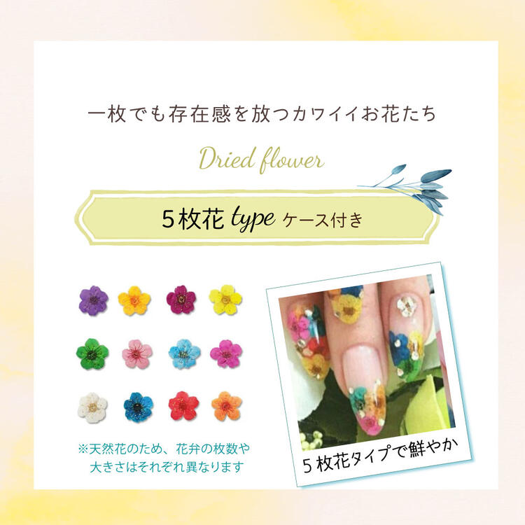 楽天市場 ネイル パーツ 花 押し花 12色セット ドライフラワー 収納ケース付き 5枚花 レース花 ジェルネイル レジン デコ ジェルネイル 用品ならイイネイル