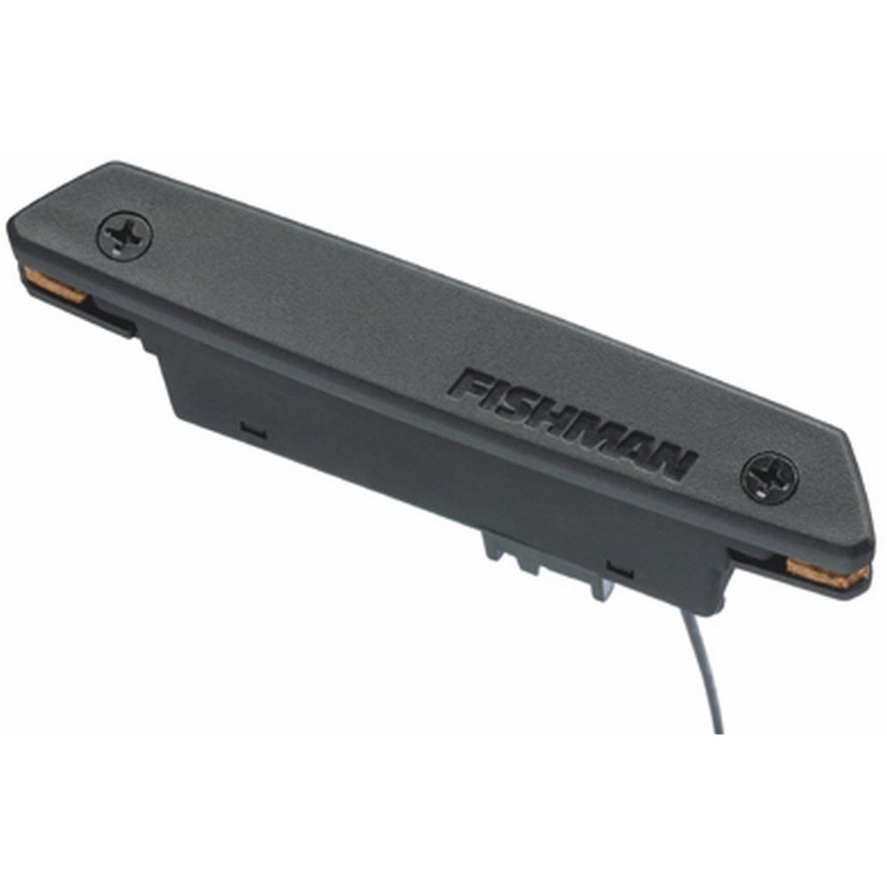 Fishman Rare Earth Mic Blend – United States