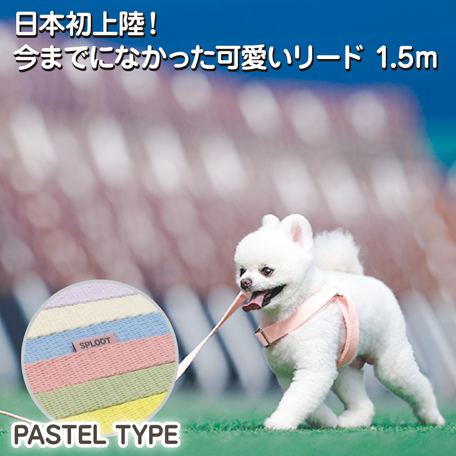 犬 小型犬 中型犬 大型犬 犬用 ハーネス 犬具 胴輪 散歩 お出かけ 簡単装着 おしゃれ かわいい ブランド パステル カラフル ベーシックリード スタンダードタイプ Sploot 1 5mリード 年末のプロモーション特価