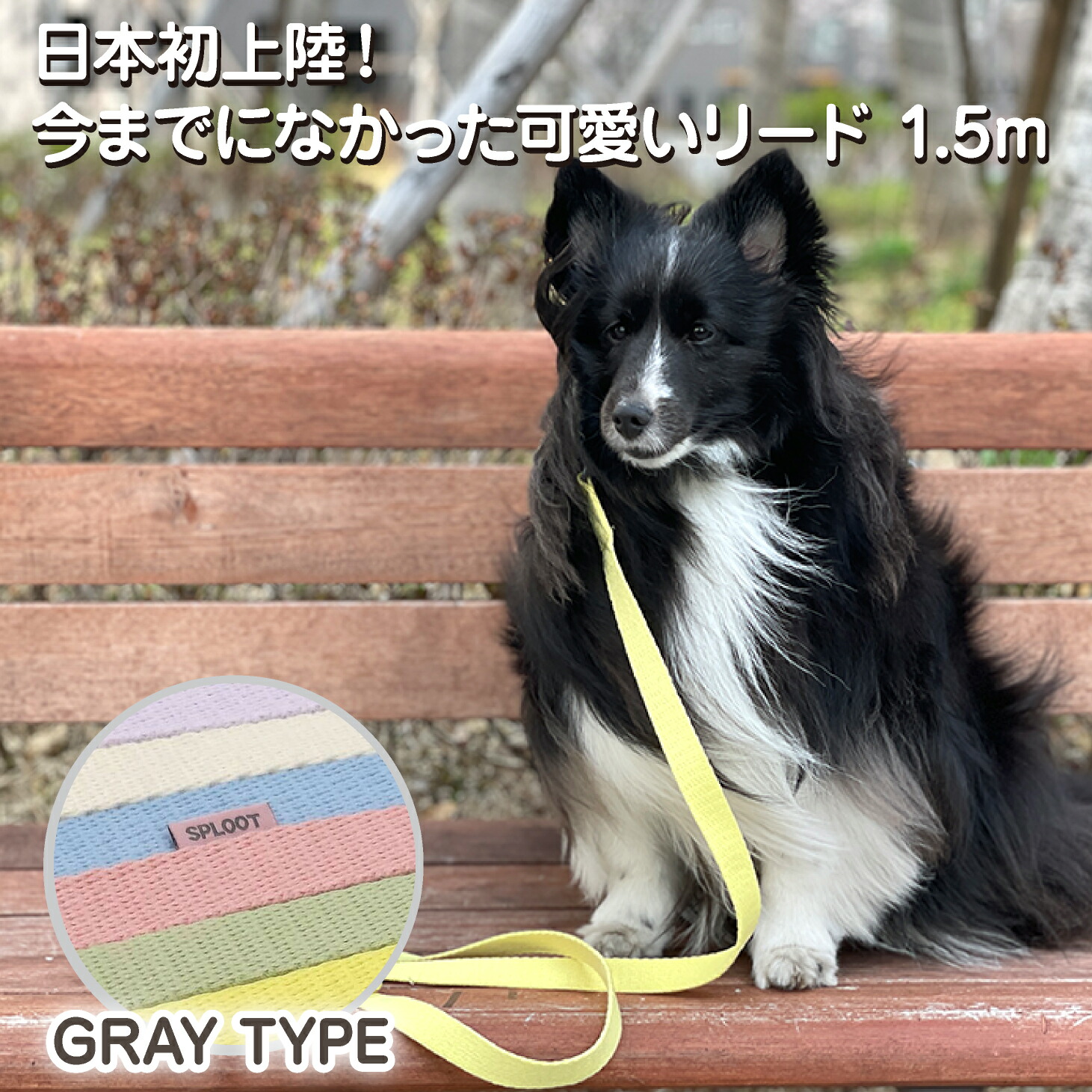 犬 小型犬 中型犬 大型犬 犬用 ハーネス 犬具 胴輪 散歩 お出かけ 簡単装着 おしゃれ かわいい ブランド パステル カラフル ベーシックハーネス スタンダードタイプ Sploot 1 5mリード グレー 最新人気