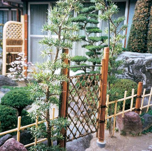 楽天市場 Yatsuya 虎竹枝折戸 70 100cm 扉 Diy 和風 引き戸 坪庭 玄関 庭園 ガーデニング 金t 代引不可 おしゃれ農作業着専門店エフィルス
