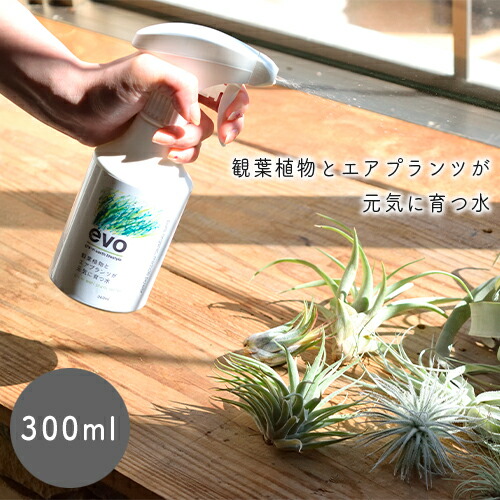 すべての美しい花の画像 最新のhdエア プランツ 肥料