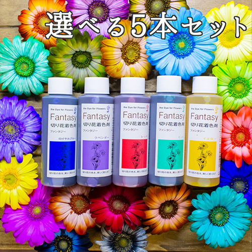 楽天市場 パレス化学 切花着色剤ファンタジー 100ml お得な選べる５本セット 全21色 茎 生花 ディスプレイ デコレーション フラワーアレンジ 植物 染色 染色液 園芸 ガーデニング プリザーブド ドライフラワー 押し花 手作り Diy ワークショップ ハーバリウム 染める