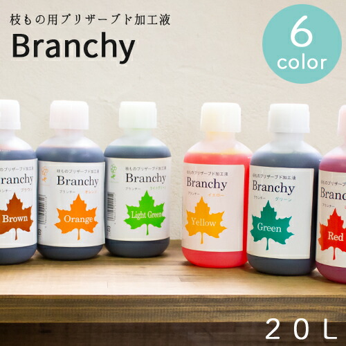 送料無料 Diy ブランチー 園芸 パレス化学 切り枝 葉もの用プリザーブド加工液 20l 枝物専用のプリザーブド液で自作インテリア ツリー 切り花 プレゼント 全6色 染色 フラワーアレンジ 生花 植物 ツリー Diy ガーデニング 園芸 パレス化 代引不可 おしゃれ農作業着専門