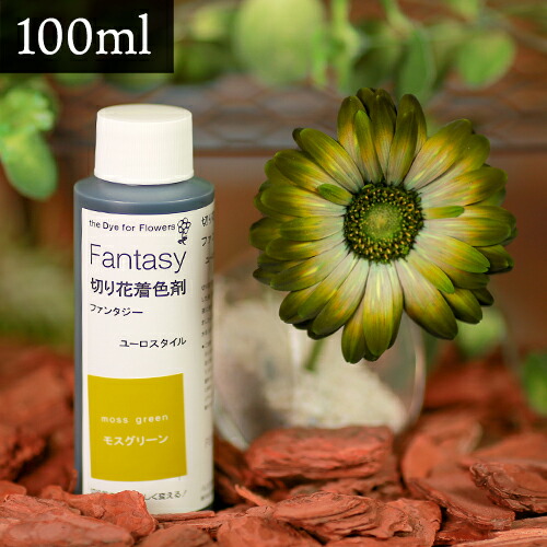 パレス化学 切花着色剤ファンタジー 100ml モスグリーン 切り花 着色 レインボー フラワー アレンジ 切り花着色剤 植物 染色 染色液 園芸 観葉植物 ガーデニング プリザーブド ドライフラワー 押し花 手作り ワークショップ ハーバリウム 染める 自由研究 実験 パレス化 Z画像