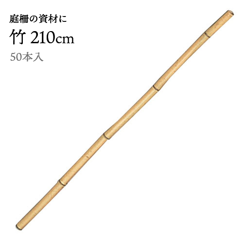 即日出荷 楽天市場 Yatsuya 竹 210cm 50本入 竹垣 杭 造園 庭 和風 ガーデニング エクステリア Diy フェンス 仕切り 坪庭 玄関 庭園 しきり 柵 バリケード 園芸 庭造り 間仕切り 金t 代引不可 おしゃれ農作業着専門店エフィルス 保障できる Www Homerevise Co In