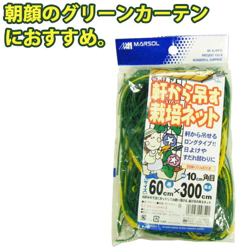 楽天市場 つるもの誘引 軒から吊す栽培ネット 幅60cm 300cm 10cm角目 グリーン 四隅取付ロープ付 ガーデニング 家庭菜園 園芸 網 朝顔 アサガオ 野菜 グリーンカーテン 日よけ 金td お家decoの店 Efiluz エフィルス