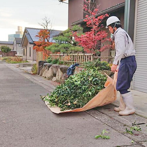 楽天市場 植木屋 掃除用シート 1800mm 1800mm 植芳 庭師 庭 そうじ 草刈り 剪定 枝 葉 ゴミ 造園 農作業 丈夫 しっかり 長持ち おしゃれ農作業着専門店エフィルス