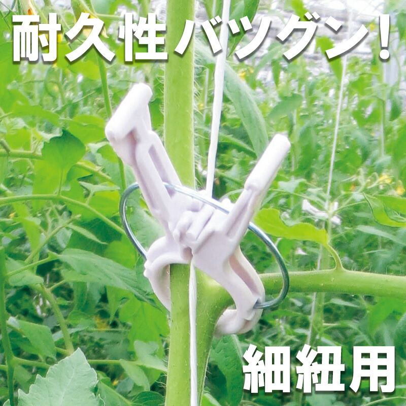 楽天市場】200個 くきたっちアルファ パープル 細紐用 薄紫 KA