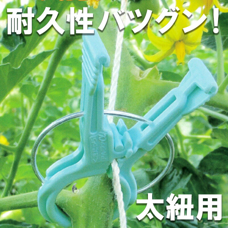 楽天市場】誘引クリップ クキロック 1000個 CP-609-B-2-White