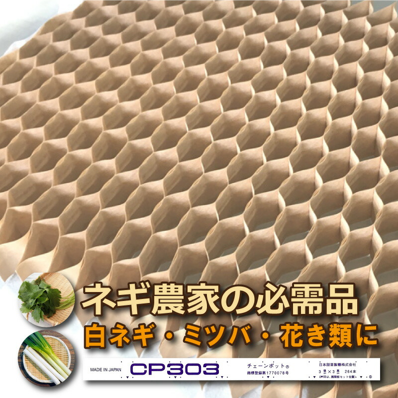 ねぎ苗　訳あり　２枚　チェーンポット　夏扇パワー　約500本と約460本 楽天市場】ニッテン チェーンポット CP303 径3cm×高3cm 株間5cm