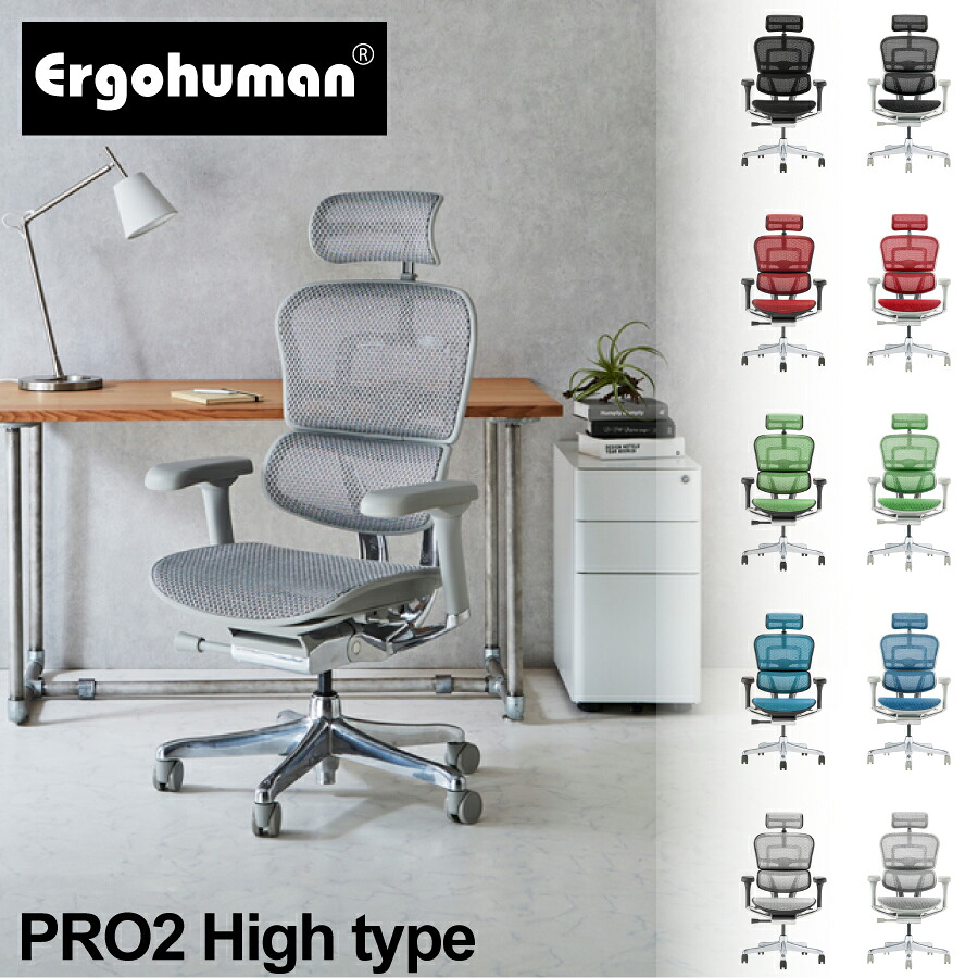 プロ2 EHP2-HAM オフィスチェア Ergohuman エルゴヒューマン 関家具 ランバーサポート メッシュ ハイタイプ 肘付き アームレスト リクライニング 正規品 ヘッドレスト 疲れない 高級 腰痛対策 フルメッシュ