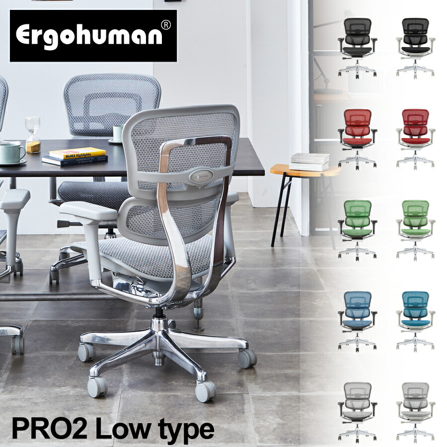 労働者階級2 EHP2-LAM 執務室女性議長 Ergohuman エルゴヒューマン 関調度品 ランバーサポート メッシュ 置き目印字機 肘付き添い人 アームレスト リクライニング 置き目品 疲れない 万物の霊長科学技術 腰痛打つ手