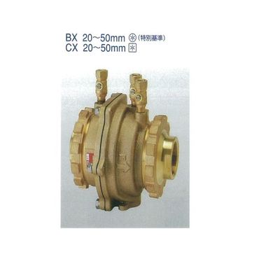 兼実業 KK-CX 減圧式逆流押しとどめる器(低圧損型・本体CAC406) 50A