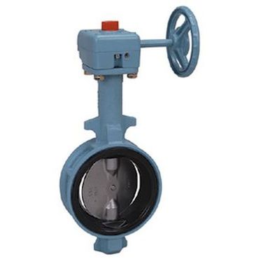 東洋バルヴ 10L2-N-UE FCD/FC 弁体SCSバタ弁(ギア式・EPDM) 65A｜GAOS　2号店　店
