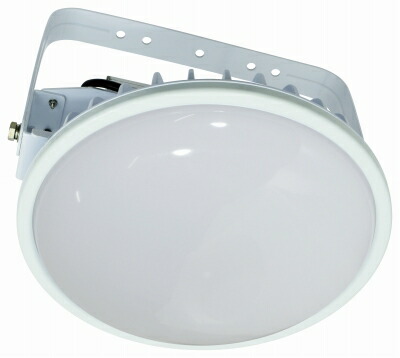 日動工業　施設用ＬＥＤ　L300V2-P-HMW-50K-N