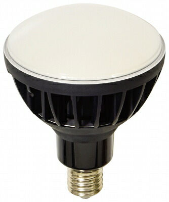 日動工業　ハイスペックエコビック５０Ｗ　L50V2-J110BK-30K｜GAOS　店