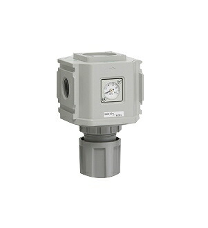 CKD レギュレータ 白色シリーズ R6100-20N-W-T8-A25NW