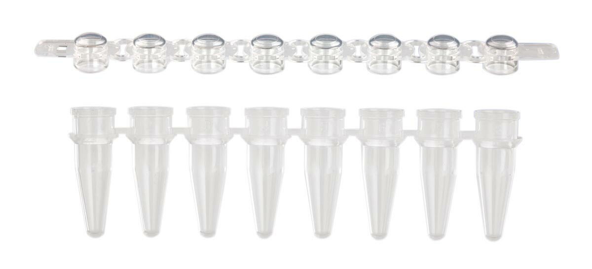 完売 Pcrストリップチューブ キャップ 125本入 Pcr 08 Cp C J Gaos 店 在庫一掃 Www Trailconnections Com