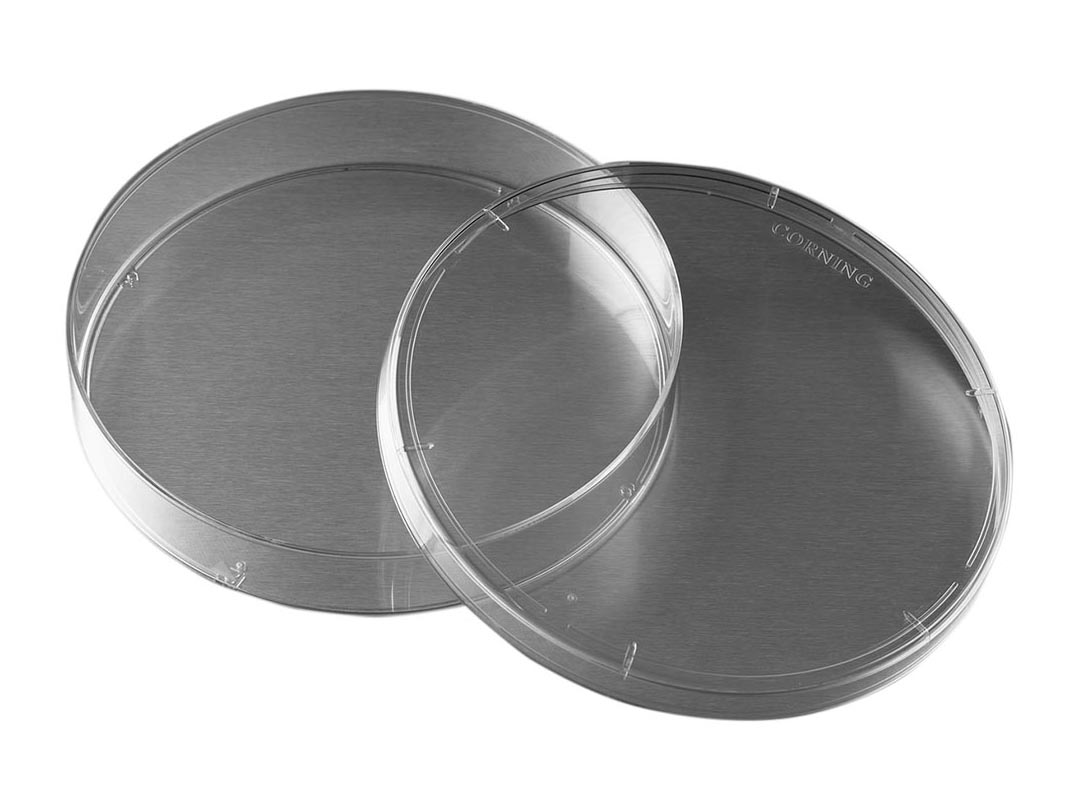 細胞培養用ディッシュ(表面無処理 500枚入) 430591|GAOS 店